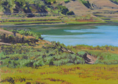 CASISTAS COVE  2013  18x24