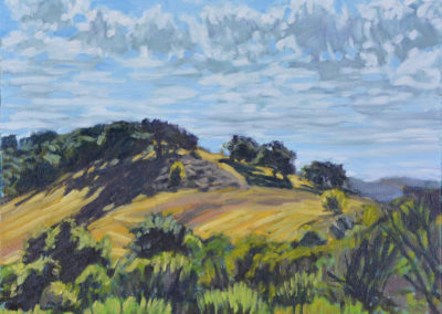 HILL EAST OF THE LAKE  2013  12x16