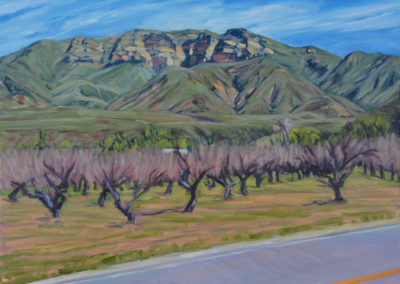 K B HALL RANCH   2010  18x24