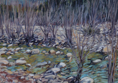 SAN ANTONIO CREEK FLOW                    _2013_20x20