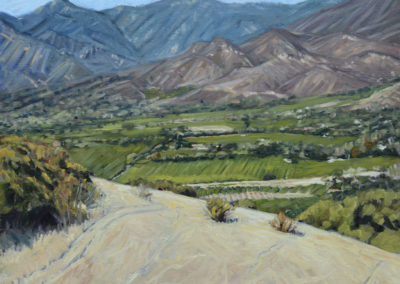 VIEW FROM THE OJAI FOUNDATION  2014  16x20